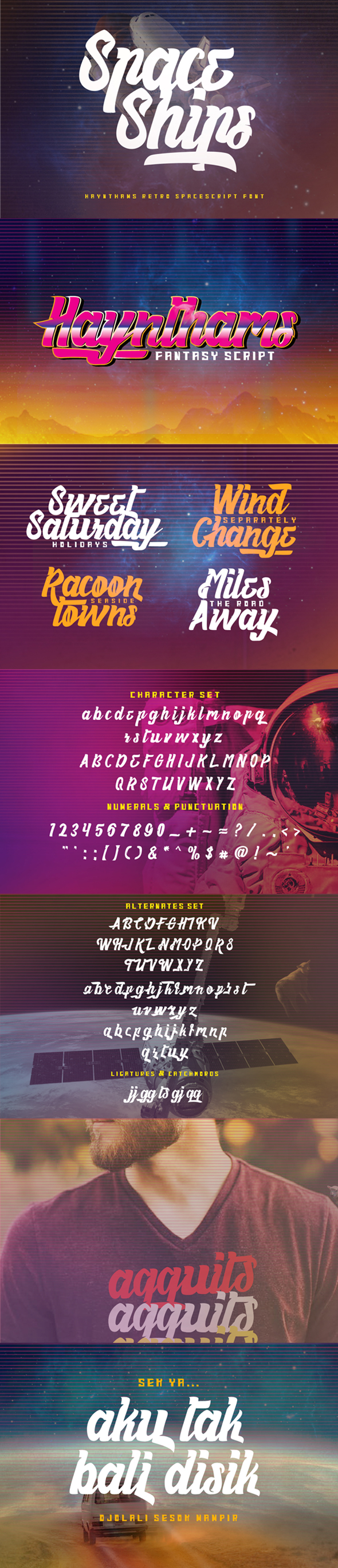 Haynthams Spacescript 2 in 1 Font - Calligraphy Script