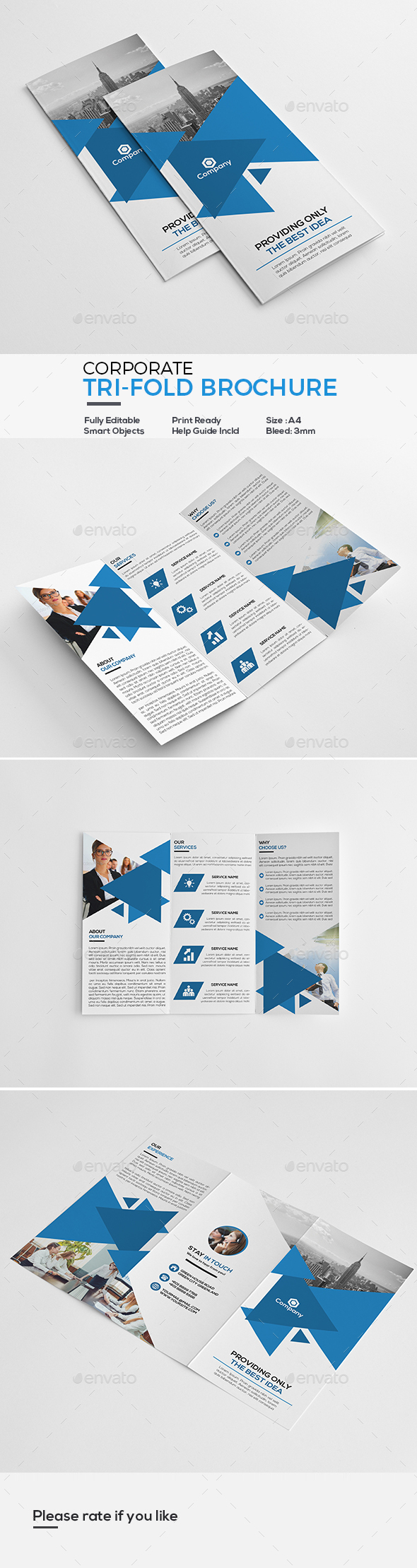 Corporate Tri-Fold Brochure - Corporate Brochures