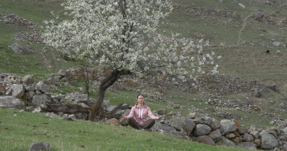 Meditation Under a Flowering Tree