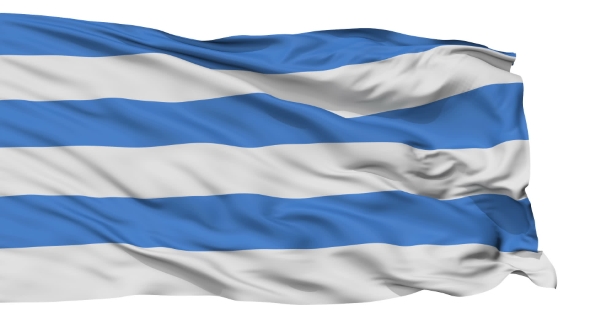 Tallin City Isolated Waving Flag alt