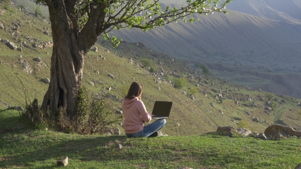 Woman Working on a Laptop Under a Tree