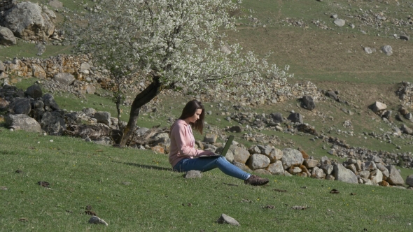 Placer of Stones, White Tree and Lady with Laptop