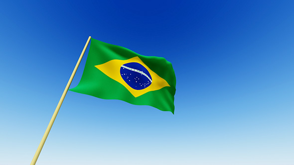 Brazilian Flag