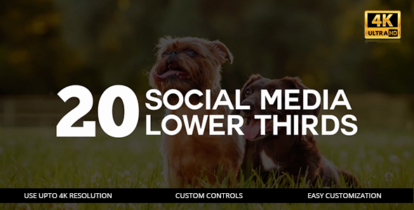 20 Social Media Lower Thirds