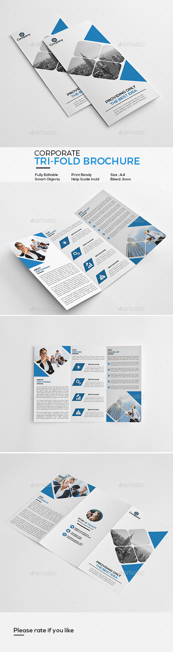 Corporate Tri-Fold Brochure - Corporate Brochures
