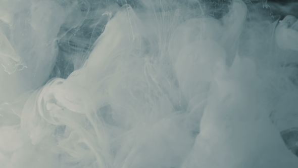 VideoHive Blue and White Ink Dropped in Water on White Background Shooting with High Speed Camera 19957486 VideoHive Blue and White Ink Dropped in Water on White Background Shooting with High Speed Camera 19957486