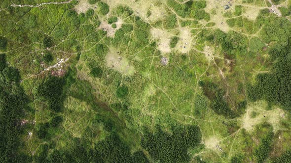 Drone Shot of a Beautiful Green Mountain Valley with a Lake