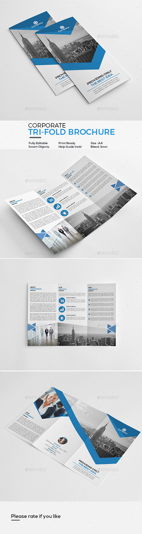 Corporate Tri-Fold Brochure - Corporate Brochures