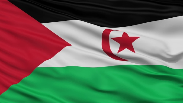 Waving National Flag of Western Sahara