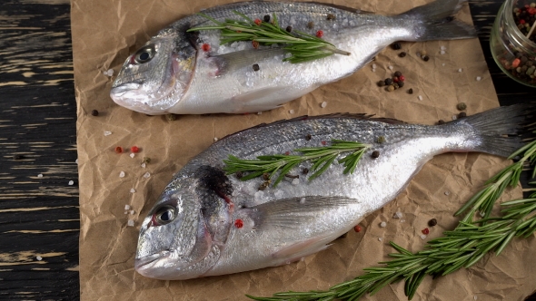 Fresh Raw Dorado and on Table