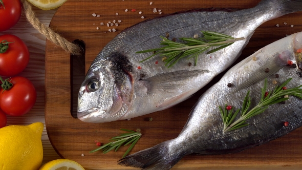 Fresh Raw Dorado and on Table