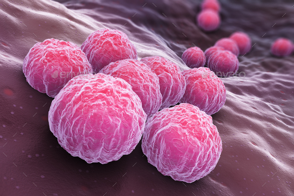 Chlamydia Bacteria - Stock Photo - Images