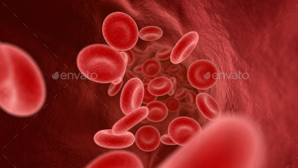 Blood cells in the vein - Stock Photo - Images