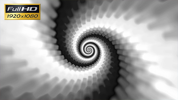 Spiral Black & White - Dragon Skin Loop