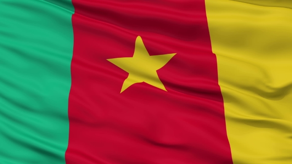 Waving National Flag of Cameroon alt