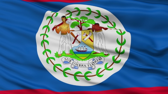 Waving National Flag of Belize