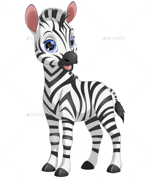 Zebra - Animals Characters