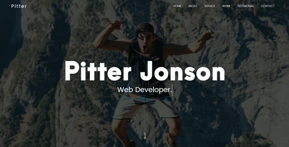 Pitter - Personal - ThemeForest 19872009
