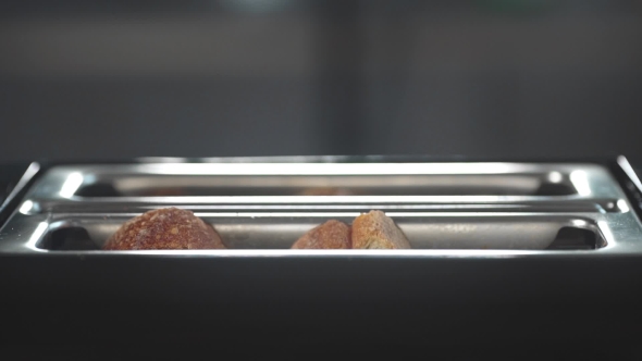 VideoHive Ruddy Toasts Jumping Out of the Toaster Food for Breakfast English Breakfast Fast Food Bread and 19978239 VideoHive Ruddy Toasts Jumping Out of the Toaster Food for Breakfast English Breakfast Fast Food Bread and 19978239