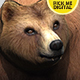 Bear Looking Around - VideoHive Item for Sale