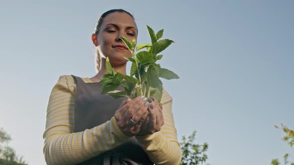 Young Smiling Woman Gardener Holding in Hands Sprouted Plant in Soil. Dolly, Close-up Shot with alt
