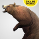 Bear Standing Up 03 - VideoHive Item for Sale