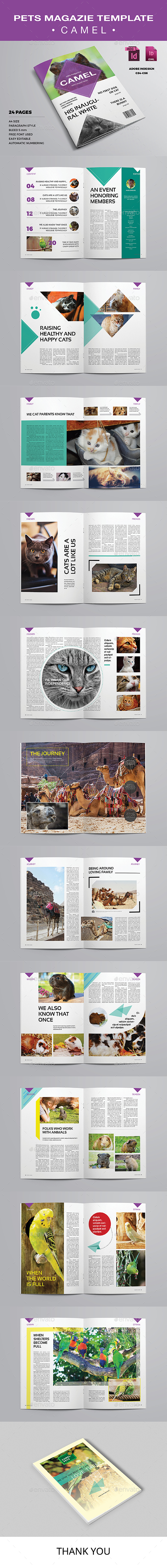 Pets Magazine Template - Camel - Magazines Print Templates