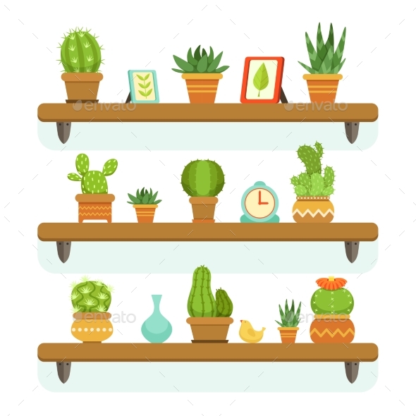 Cactuses in Pots Stand on the Shelves. - Organic Objects Objects