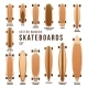 Different Skateboard Types Vector Templates Set, Vectors | GraphicRiver