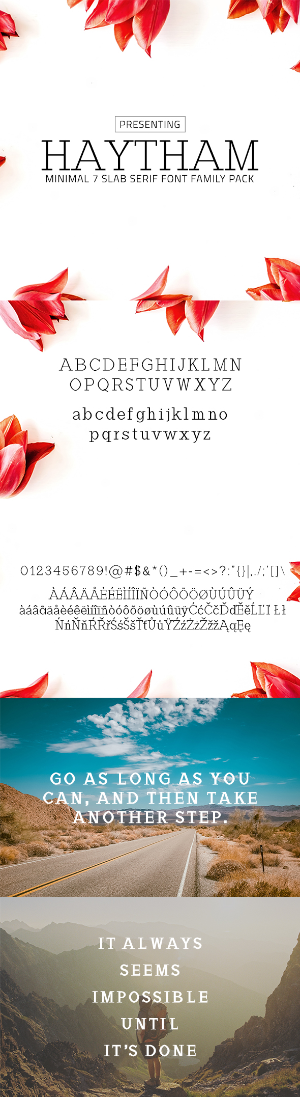 Haytham Minimal Slab Serif Typeface - Serif Fonts