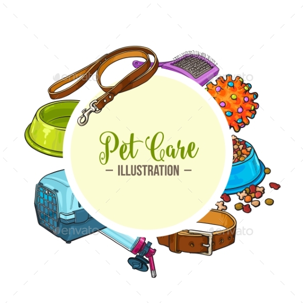 Veterinary Banner of Pet Accessories - Animals Characters