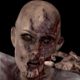 Zombie Walking - VideoHive Item for Sale