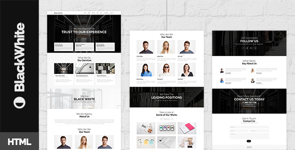 BlackWhite - Onepage - ThemeForest 19987971