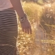Woman Going Through Ferny Path. Girl Hand Touching Grass. Sun Lens Flares - VideoHive Item for Sale