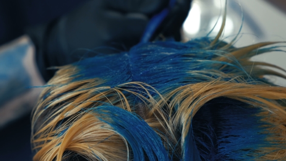 VideoHive Professional Hairdresser Dyeing Hair of Her Client Blue Hair Color 19995415 VideoHive Professional Hairdresser Dyeing Hair of Her Client Blue Hair Color 19995415