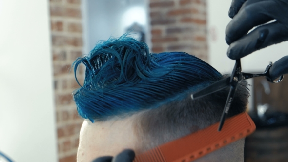 VideoHive Barber Cutting Hair with Scissors and Comb a Client Is a Young Caucasian Man Bright Blue Hair 19995431 VideoHive Barber Cutting Hair with Scissors and Comb a Client Is a Young Caucasian Man Bright Blue Hair 19995431