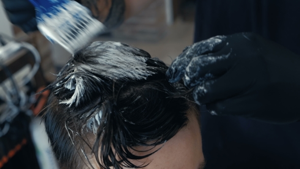 VideoHive Young Man at the Beauty Salon Having His Hair Dyed Blond 19995674 VideoHive Young Man at the Beauty Salon Having His Hair Dyed Blond 19995674
