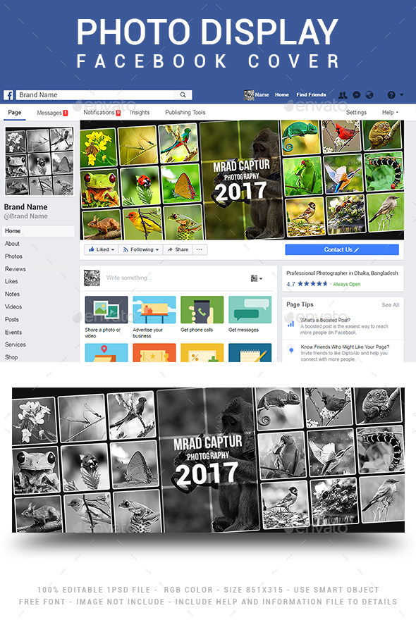 Photo Display Facebook Cover - Social Media Web Elements