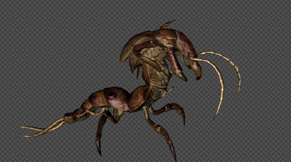 Centipede Attack Pack02 4 In 1
