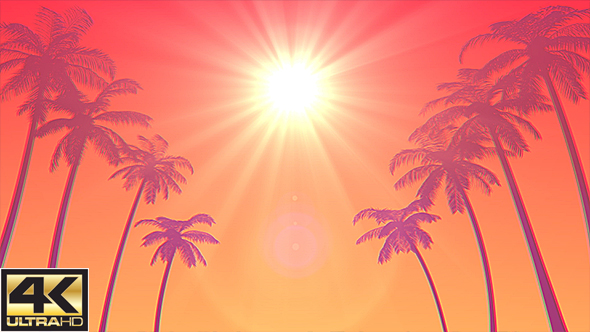 Summer Palms Loop Background Ultra HD alt