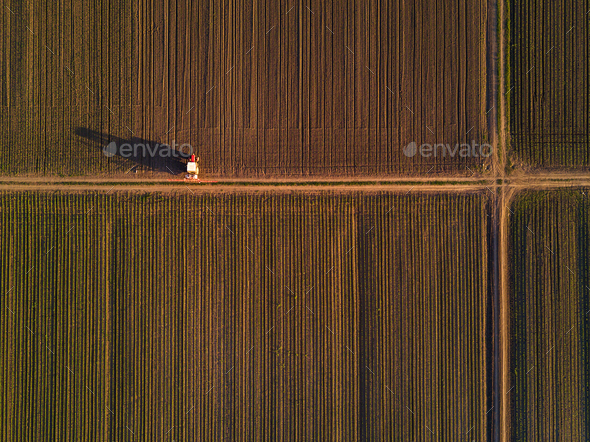 Aerial view of tractor in cultivated corn maize crop field - Stock Photo - Images