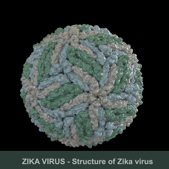 ZIKA VIRUS - 3Docean 20008255