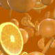 Fresh Oranges - VideoHive Item for Sale