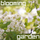 Blooming Spring Garden - VideoHive Item for Sale