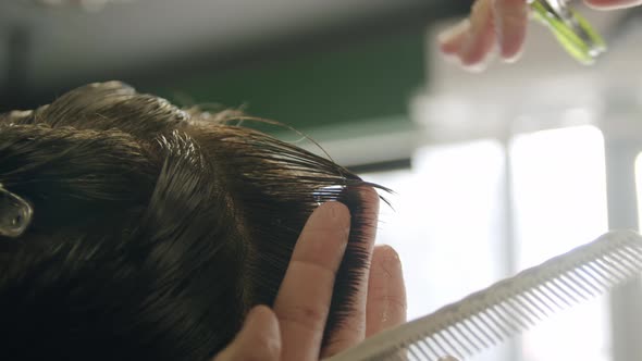 Close Up Shot of Barber Cuts the Young Man's Hair with Scissors alt
