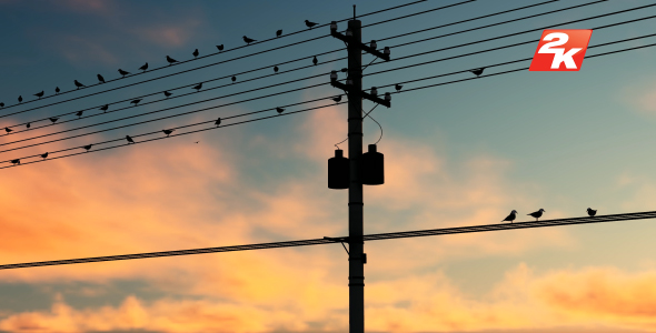 Birds Standing On The Electric Pole-3