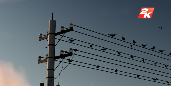 Birds Standing On The Electric Pole-7