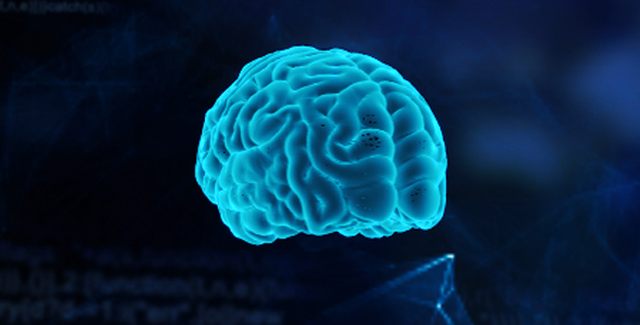 Digital Brain Artificial Intelligence, Motion Graphics | VideoHive