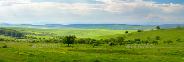 Green Meadow at Summer - Stock Photo - Images