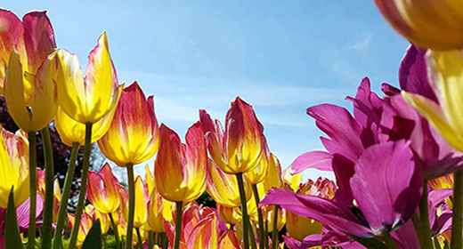 FawazHajjPhotography